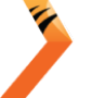 Mega Casino World Game Provider Nextspin